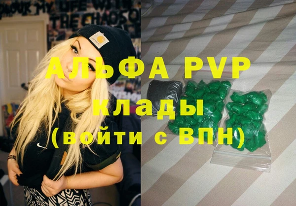 СК Алексин