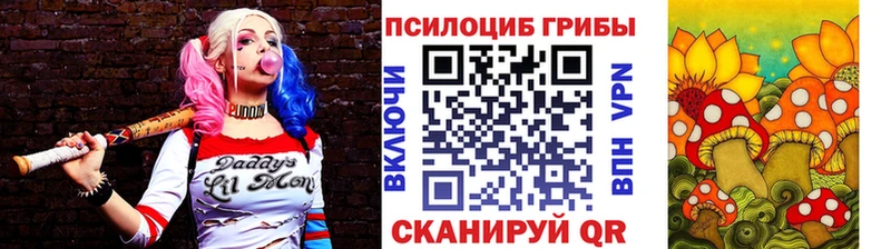 Галлюциногенные грибы Psilocybine cubensis  купить  сайты  Сурск 